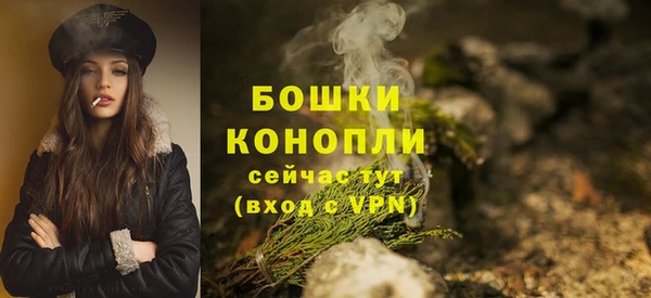 PSILOCYBIN Бронницы