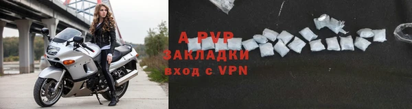 экстази Бородино