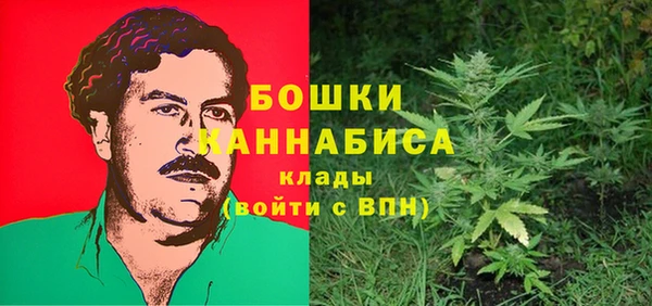 PSILOCYBIN Бронницы