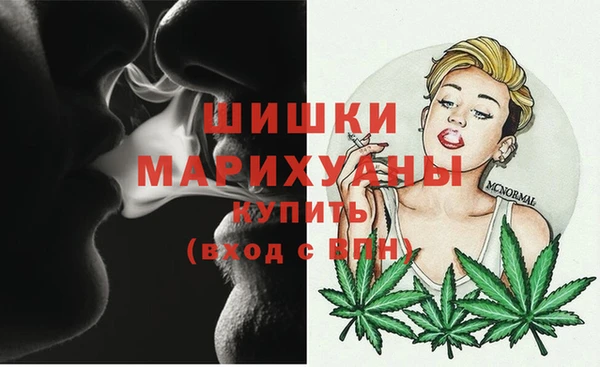 PSILOCYBIN Бронницы