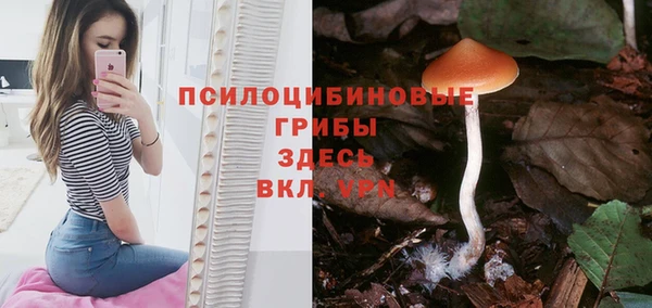 PSILOCYBIN Бронницы