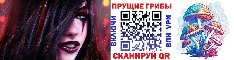 Псилоцибиновые грибы Magic Shrooms  darknet клад  Миньяр  купить  сайты 